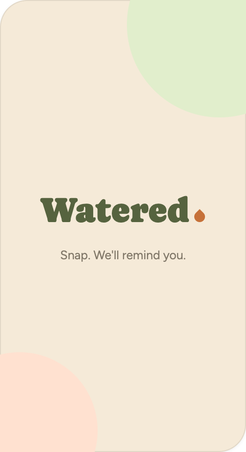 Watered splash screen — the wordmark above the line “Snap. We'll remind you.”
